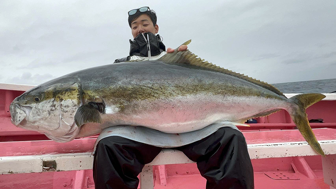 �q���}�T�F�����X�^�[