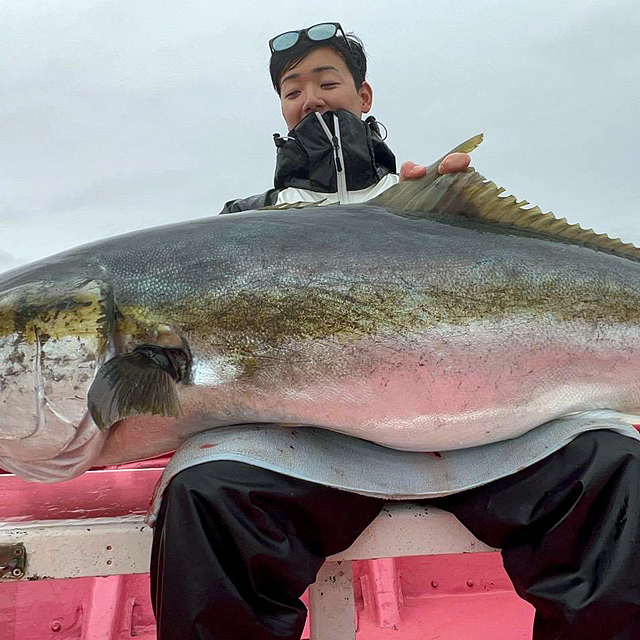 �q���}�T�F31.5kg